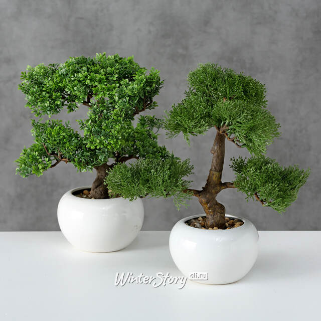 Искусственный бонсай Зантоксилум 33 см Boltze