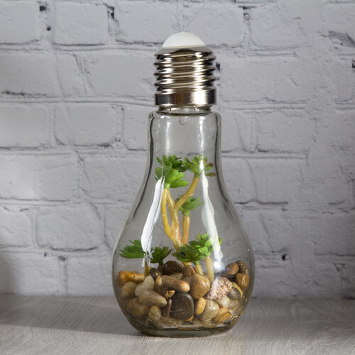 Декоративный подвесной светильник - флорариум Лампочка с Крассулой 18 см, теплая белая LED подсветка, стекло, IP20 Boltze