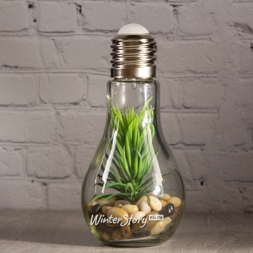 Декоративный подвесной светильник - флорариум Лампочка с Агавой 18 см, теплая белая LED подсветка, стекло, IP20 Boltze
