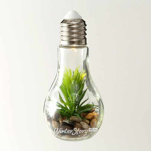 Декоративный подвесной светильник - флорариум Лампочка с Агавой 18 см, теплая белая LED подсветка, стекло, IP20 Boltze