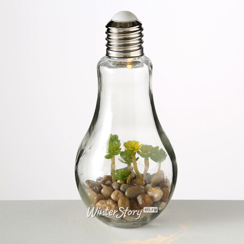 Декоративный светильник - флорариум Лампочка с Крассулой 23 см, теплая белая LED подсветка, стекло, IP20 Boltze