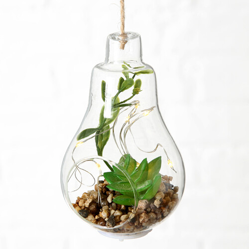Декоративный подвесной светильник - флорариум с суккулентами Эхеверия и Шлюмбергера 12 см, IP20 Boltze
