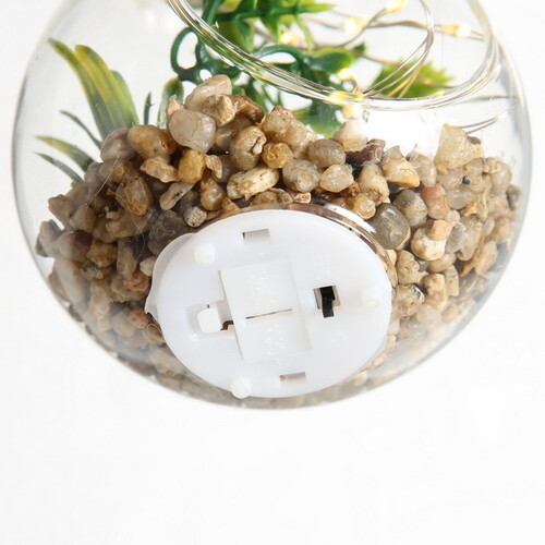 Декоративный подвесной светильник - флорариум с суккулентами Аптения Роскошная 12 см, IP20 Boltze