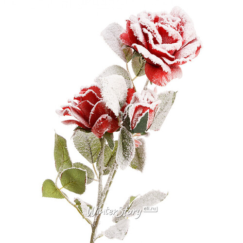 Роза на стебле Заснеженная 80 см красная Edelman