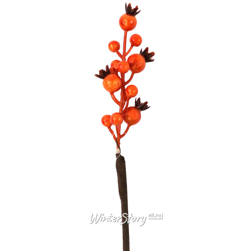 Декоративная ветка Ягоды Боярышника для букетов 50 см оранжевый Hogewoning