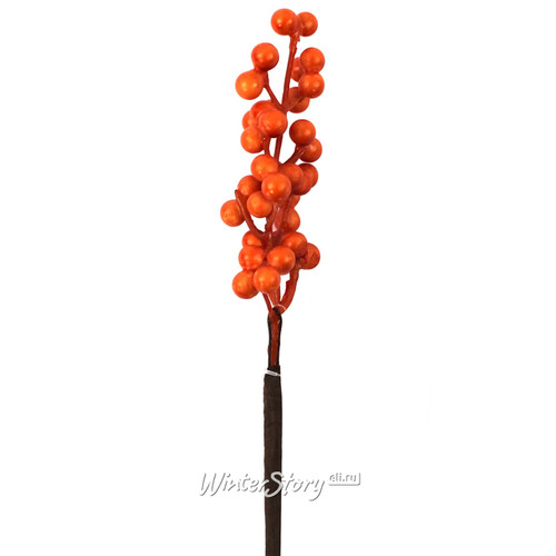 Декоративная ветка с оранжевыми ягодами для букетов 50 см Hogewoning