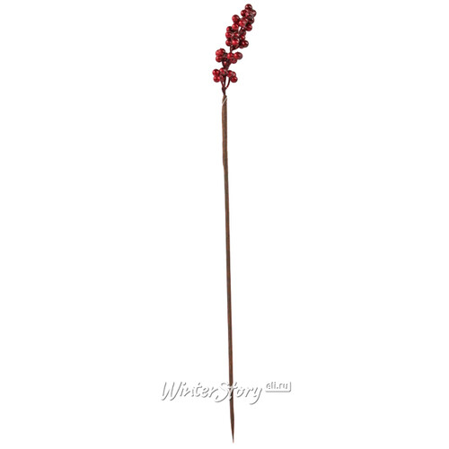 Декоративная ветка с бордовыми ягодами для букетов 50 см Hogewoning