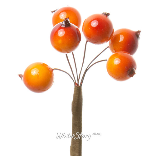 Декоративные ягоды Шиповника для букетов 6 шт*50 см оранжевые Hogewoning