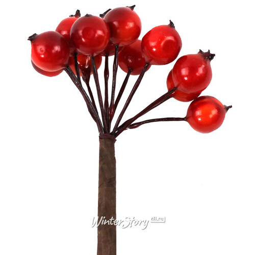 Декоративные ягоды Шиповника для букетов 12 шт*50 см красные Hogewoning