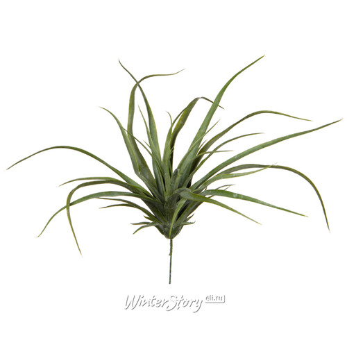 Искусственное растение Перуанская Тилландсия 30*26 см зелёная Edelman