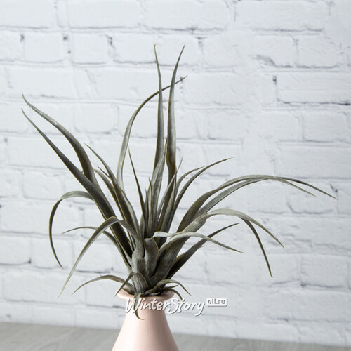 Искусственное растение Перуанская Тилландсия 30*26 см серая Edelman