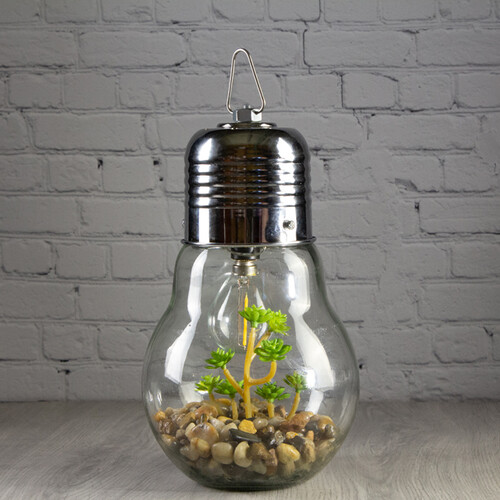 Декоративный подвесной светильник - флорариум Лампочка с Крассулой 23 см, теплая белая LED подсветка, IP20 Boltze