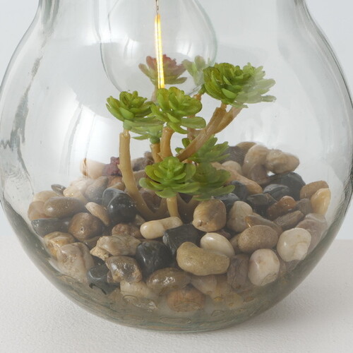 Декоративный подвесной светильник - флорариум Лампочка с Крассулой 23 см, теплая белая LED подсветка, IP20 Boltze