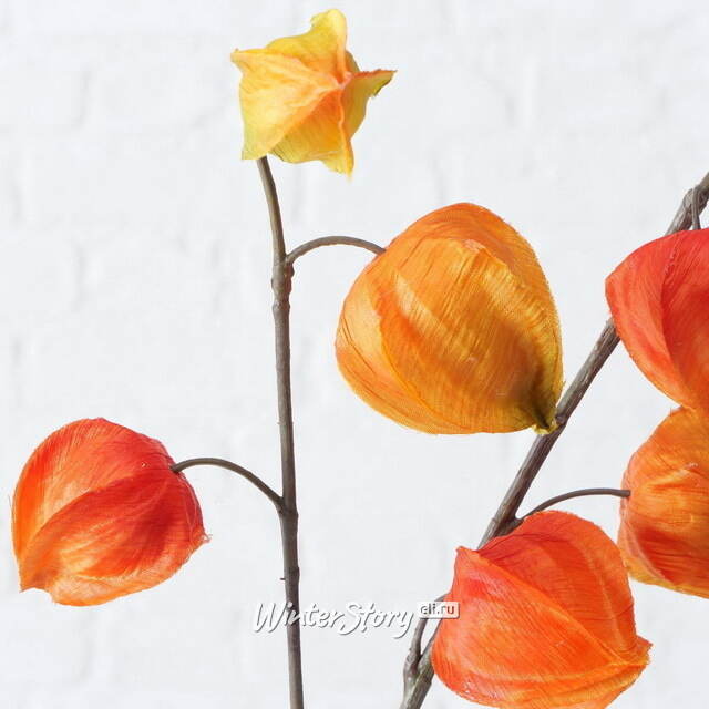 Искусственная ветка Физалис 90 см оранжевый Boltze