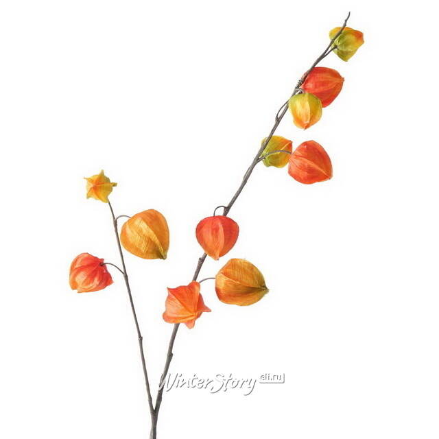 Искусственная ветка Физалис 90 см оранжевый Boltze