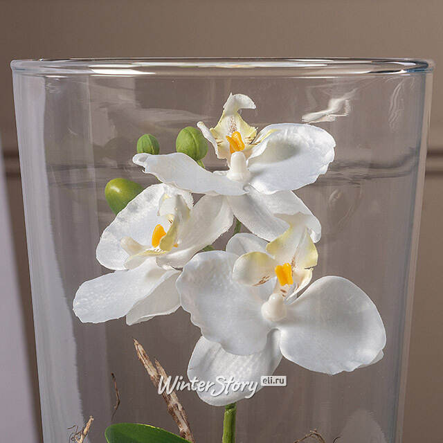 Искусственный цветок в кашпо Орхидея Королевская 30 см белая Edelman