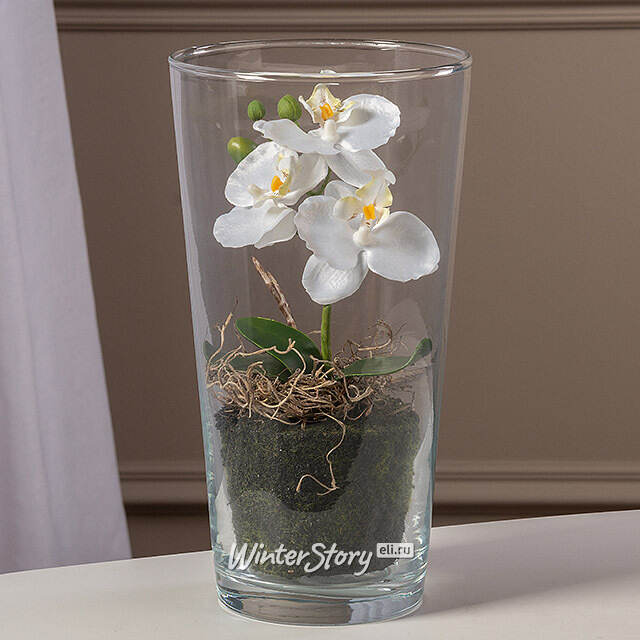 Искусственный цветок в кашпо Орхидея Королевская 30 см белая Edelman