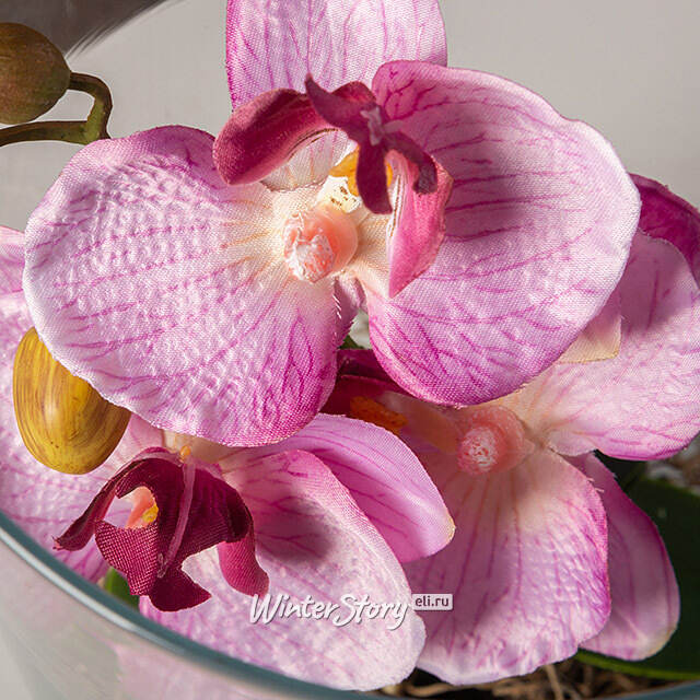 Искусственный цветок в кашпо Орхидея Royal Rosea 30 см Edelman