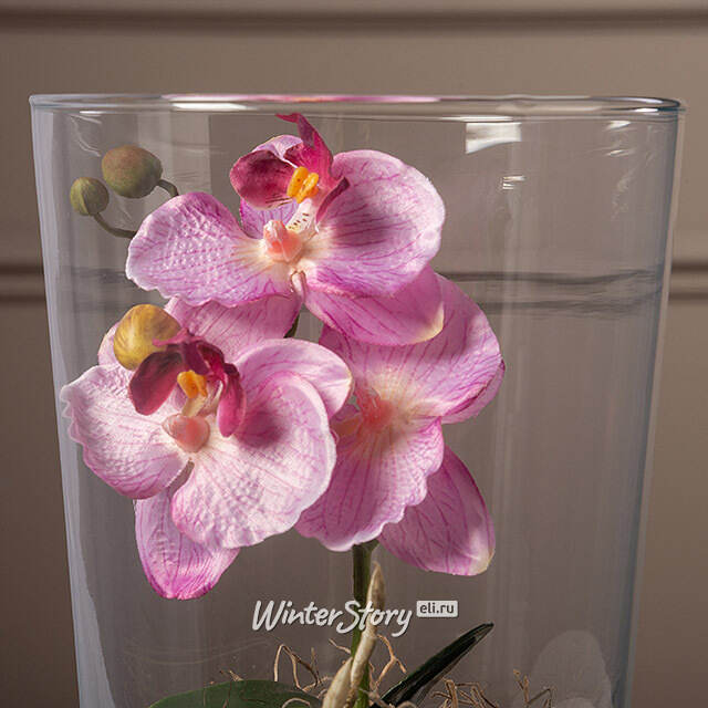 Искусственный цветок в кашпо Орхидея Royal Rosea 30 см Edelman