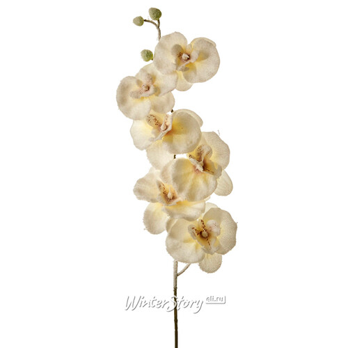 Ветка Цветущая Орхидея заснеженная белая 75 см Edelman
