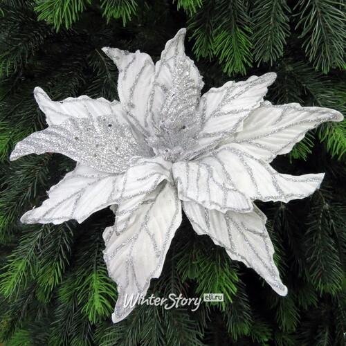 Пуансеттия Stella di Natale - White&Silver 30 см, клипса Edelman