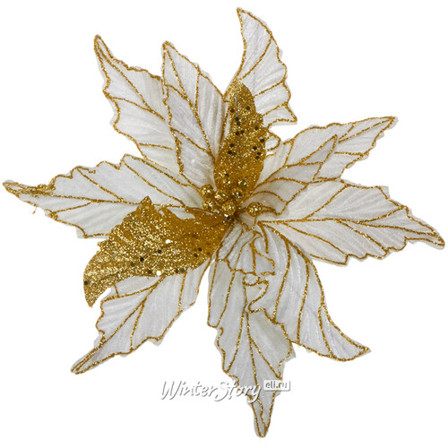 Пуансеттия Королевское великолепие 30 см белая с золотым, клипса Edelman