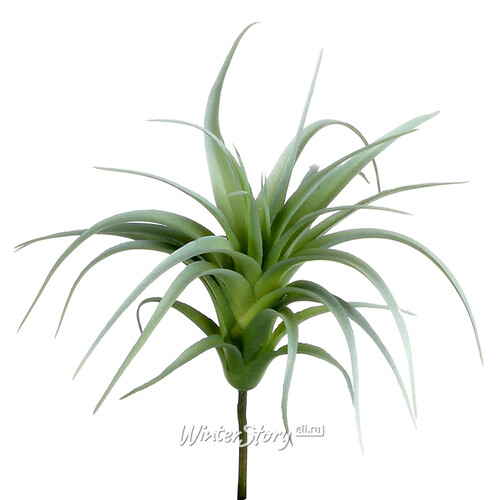 Искусственное растение Перуанская Тилландсия 19 см, зеленая Edelman