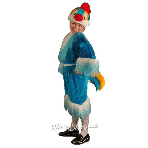 Карнавальный костюм Петух, рост 104-116 см Бока С