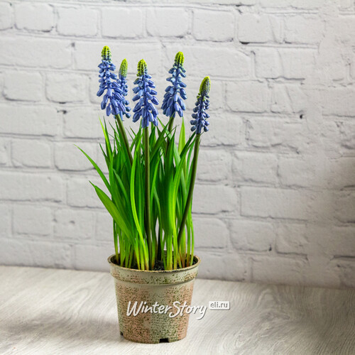 Искусственный цветок в горшке Мускари Blue купить в интернет-магазинеWinter Story eli.ru, ID65546