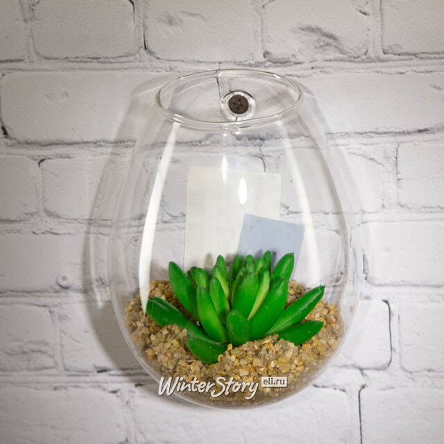 Настенный искусственный флорариум Аффинис 12*11 см Edelman (Эдельман)