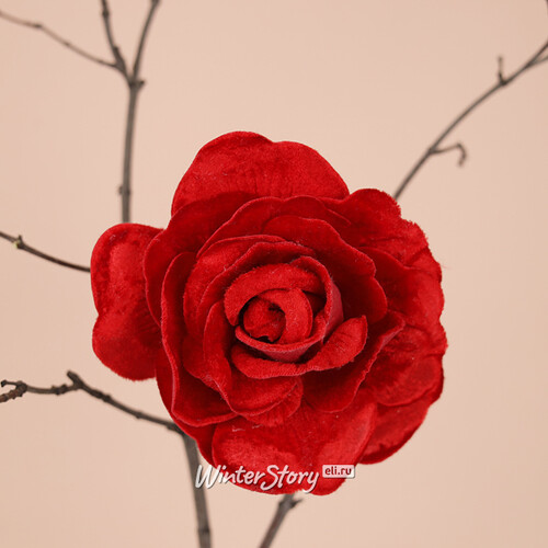 Роза Дейрона Velvet 12 см красная, клипса Edelman