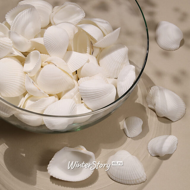 Декоративные ракушки Океания Edelman