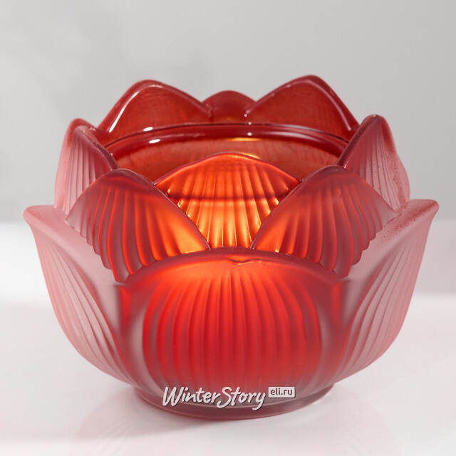 Стеклянный подсвечник Цветок - Felicita Bordo 11 см EDG