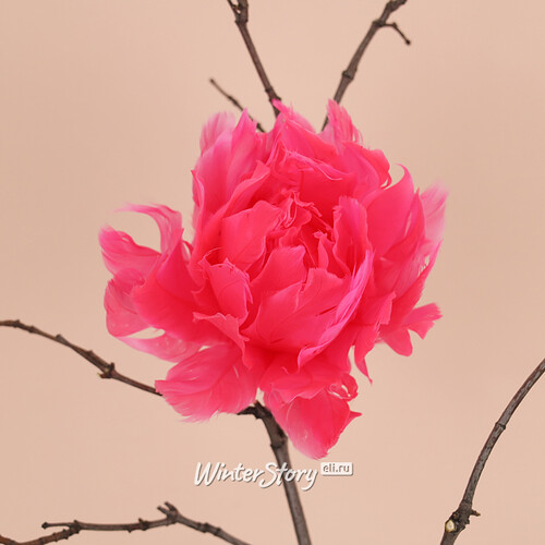 Искусственный цветок из перьев Dafne 12 см розовый, клипса Edelman