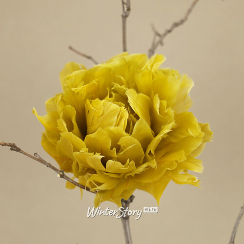 Искусственный цветок из перьев Dafne 12 см желтый, клипса купить винтернет-магазине Winter Story eli.ru, ID78015
