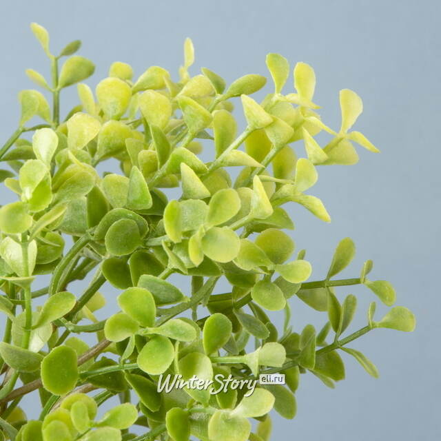 Искусственный букет Эвкалипт 32 см Edelman