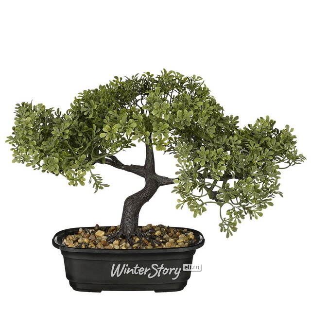 Искусственный бонсай Конкордия 33 см Edelman