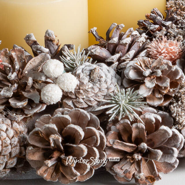 Венок для свечи из шишек Магический Лес 50 см Edelman