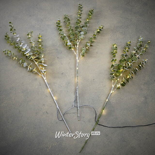 Набор светящихся веток Эвкалипт Callisia 90 см, 50 теплых белых LED ламп, 3 шт, IP44 Edelman