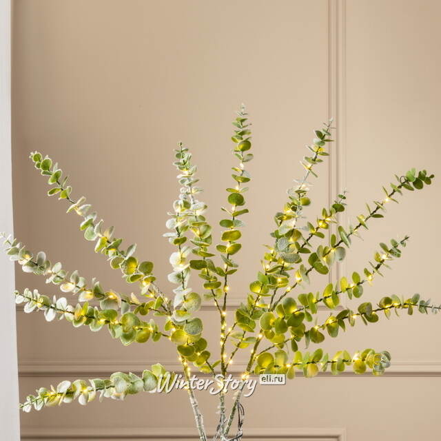 Набор светящихся веток Эвкалипт Callisia 90 см, 50 теплых белых LED ламп, 3 шт, IP44 Edelman