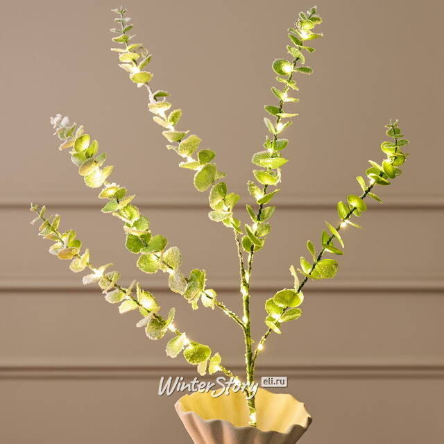 Светящаяся ветка Эвкалипт Майсана 90 см, 50 теплых белых LED ламп, таймер, на батарейках, IP44 Edelman