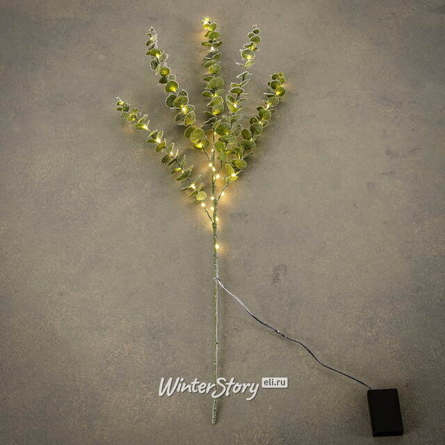 Светящаяся ветка Эвкалипт Майсана 90 см, 50 теплых белых LED ламп, таймер, на батарейках, IP44 Edelman