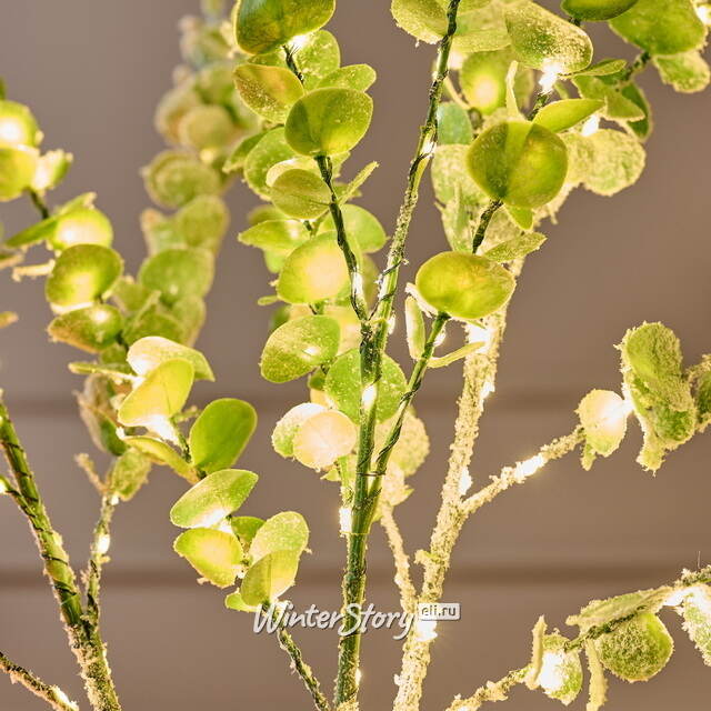 Светящаяся ветка Эвкалипт Майсана 90 см, 50 теплых белых LED ламп, таймер, на батарейках, IP44 Edelman