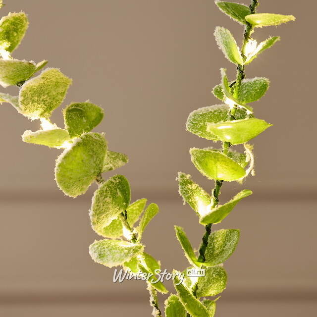 Светящаяся ветка Эвкалипт Майсана 90 см, 50 теплых белых LED ламп, таймер, на батарейках, IP44 Edelman