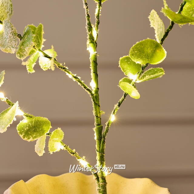 Светящаяся ветка Эвкалипт Майсана 90 см, 50 теплых белых LED ламп, таймер, на батарейках, IP44 Edelman