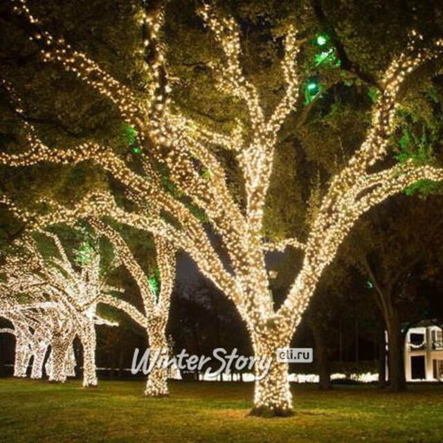 Клип Лайт - Спайдер Quality Light 30 м, 300 теплых белых LED ламп, черный ПВХ, IP44 BEAUTY LED