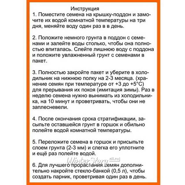 Набор для выращивания дерева Пальма Rostokvisa (Ростоквиса)