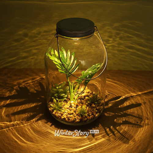 Декоративный флорариум-банка Тропический Оазис с пальмой 29 см, теплая белая LED подсветка, стекло, IP20 Boltze