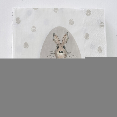 Бумажные салфетки Кролик Герман 17*17 см, 20 шт Boltze