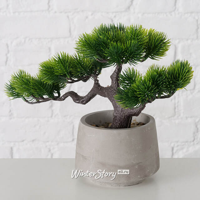 Искусственный бонсай Moffat 21 см Boltze